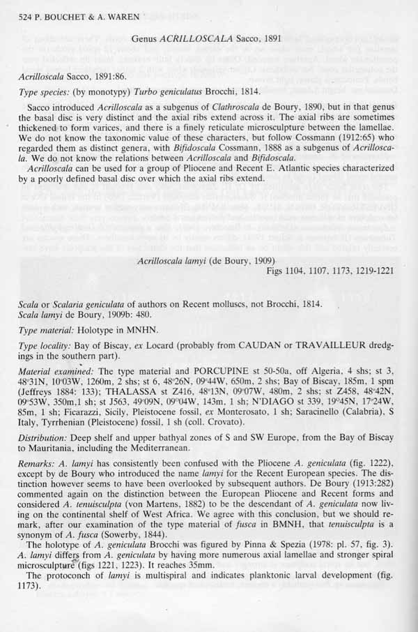 Acrilloscala geniculata